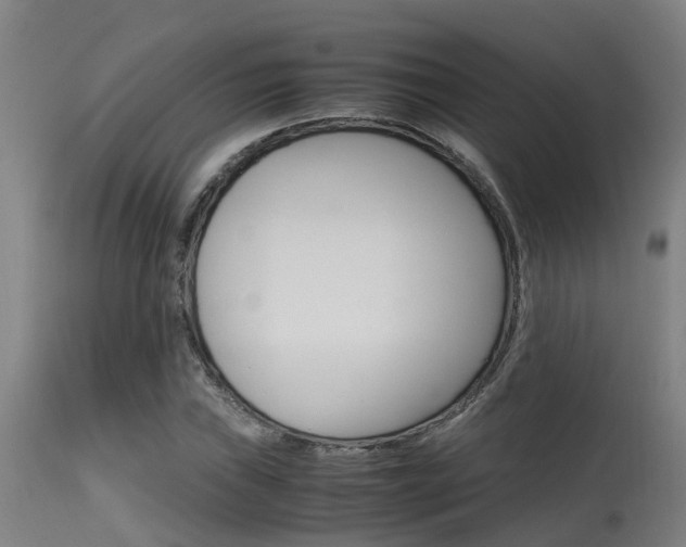 X0000115581019200911100949