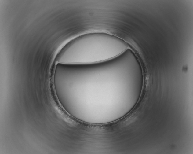 X0000115581020200911100949