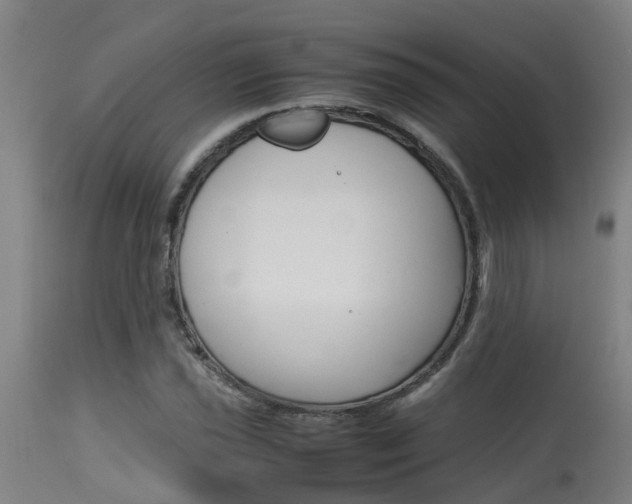 X0000115581021200911100949