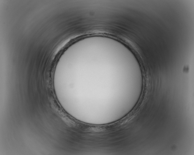 X0000115581023200911100949