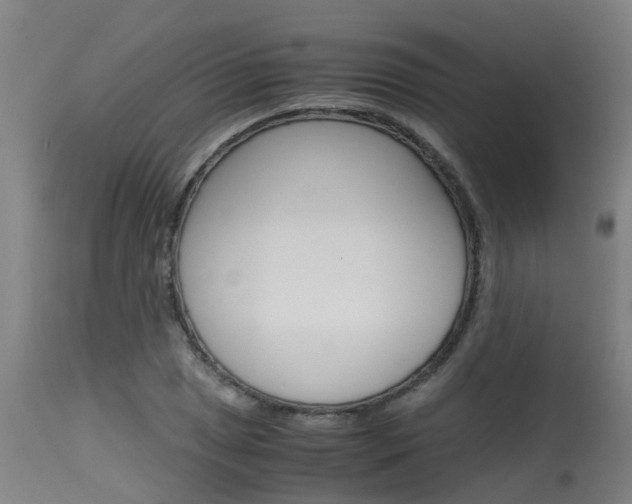 X0000115581025200911100949