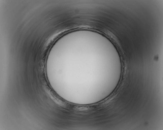 X0000115581027200911100949