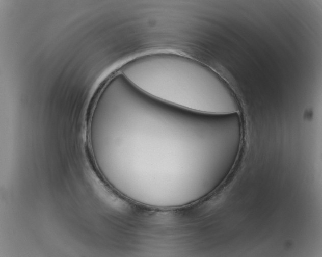 X0000115581028200911100949