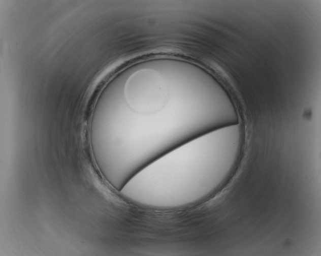 X0000115581029200911100949