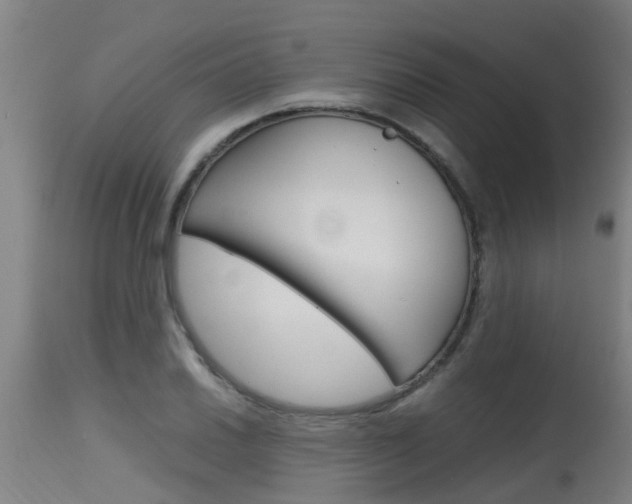 X0000115581030200911100949
