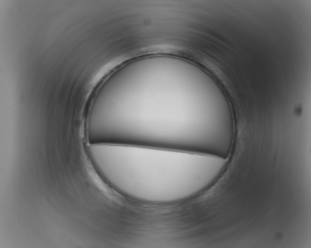 X0000115581034200911100949