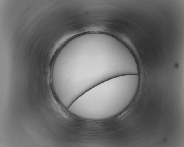 X0000115581035200911100949