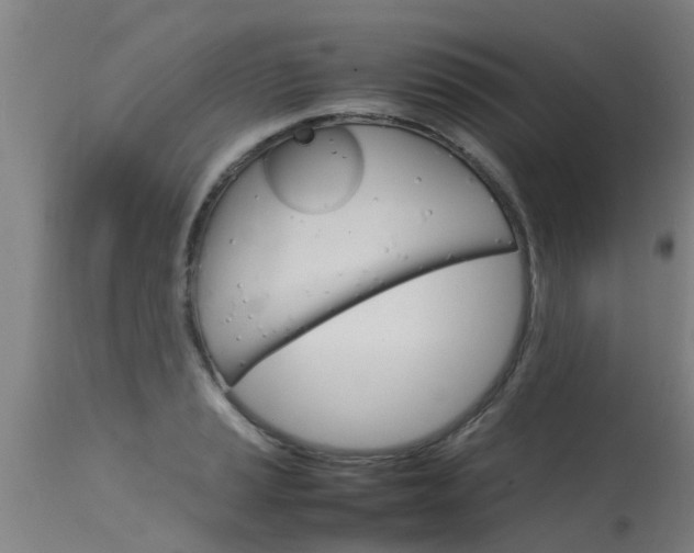 X0000115581037200911100949