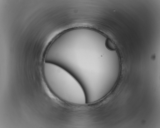 X0000115581038200911100949