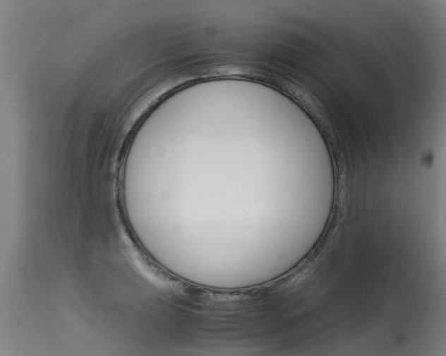 X0000115581039200911100949
