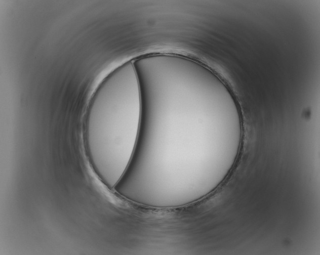 X0000115581040200911100949