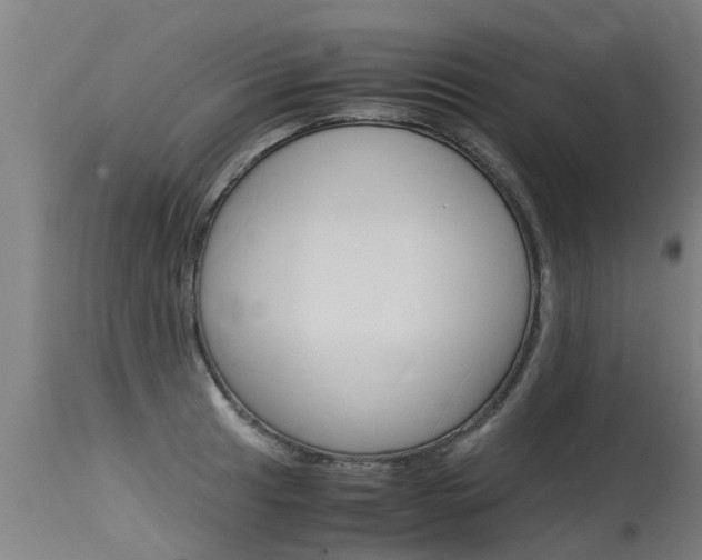 X0000115581041200911100949