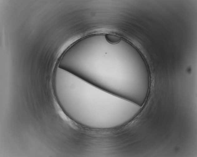 X0000115581042200911100949