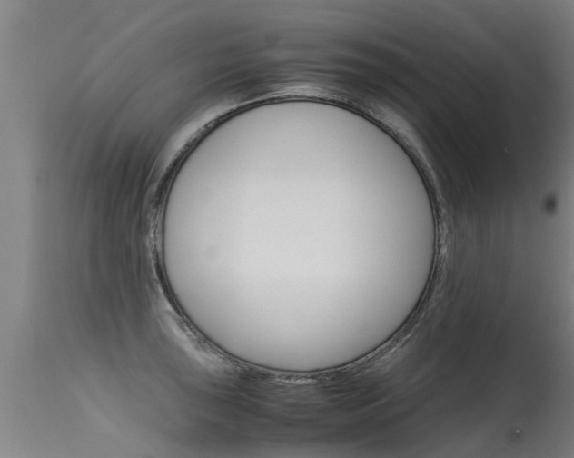 X0000115581043200911100949