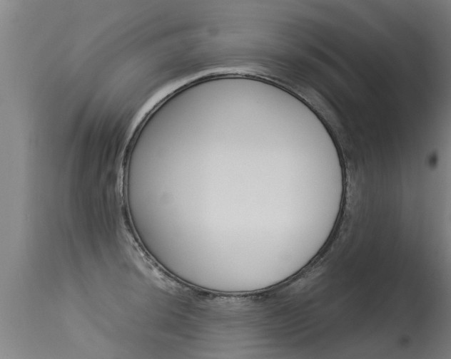 X0000115581044200911100949