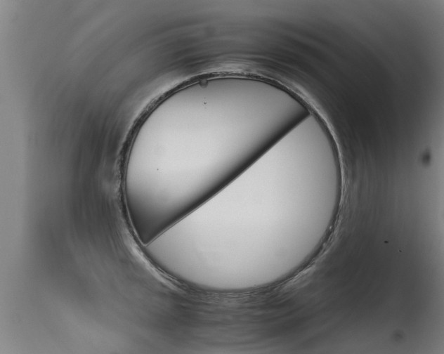 X0000115581045200911100949