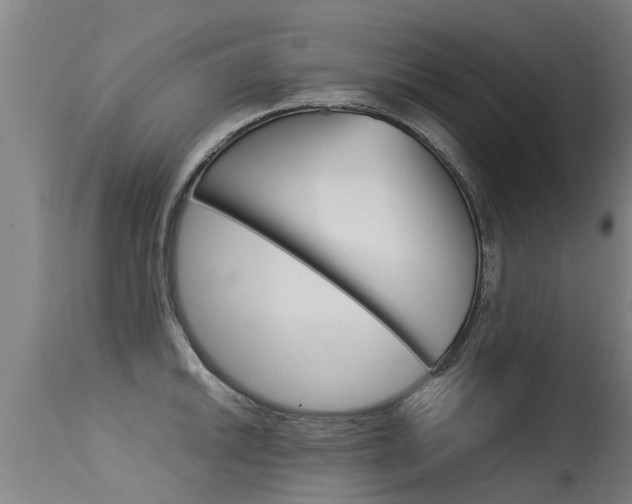 X0000115581046200911100949