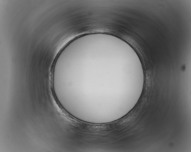 X0000115581047200911100949