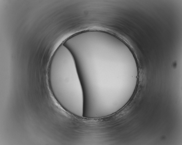 X0000115581048200911100949