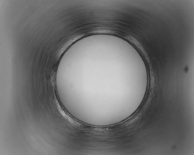 X0000115581049200911100949