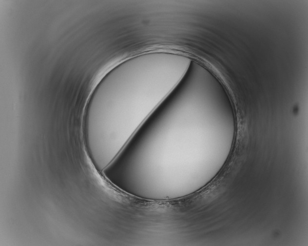 X0000115581050200911100949