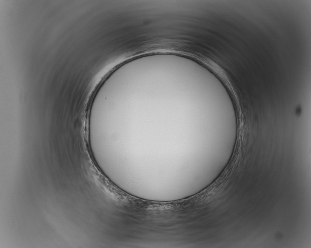 X0000115581051200911100950