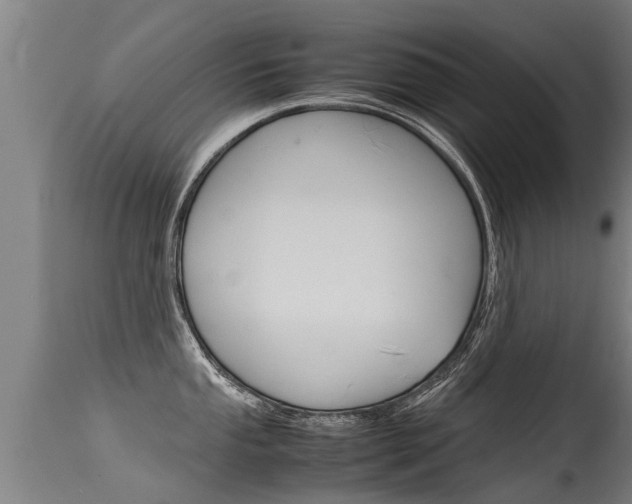 X0000115581053200911100950