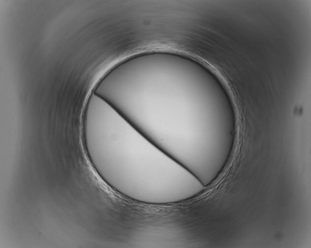 X0000115581056200911100950
