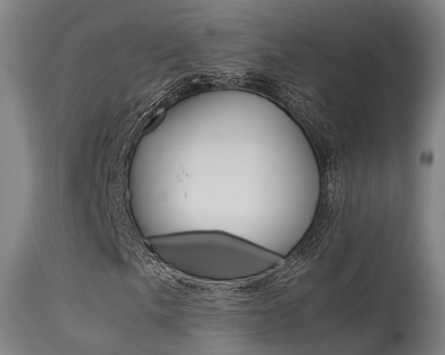 X0000115581057200911100949
