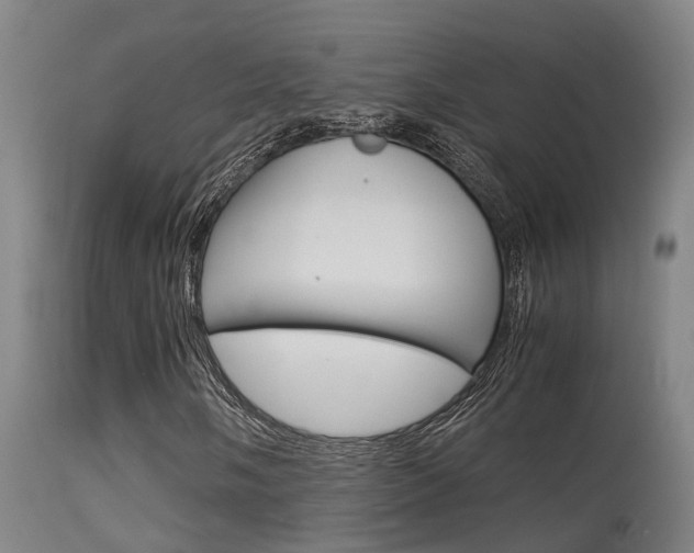 X0000115581058200911100949