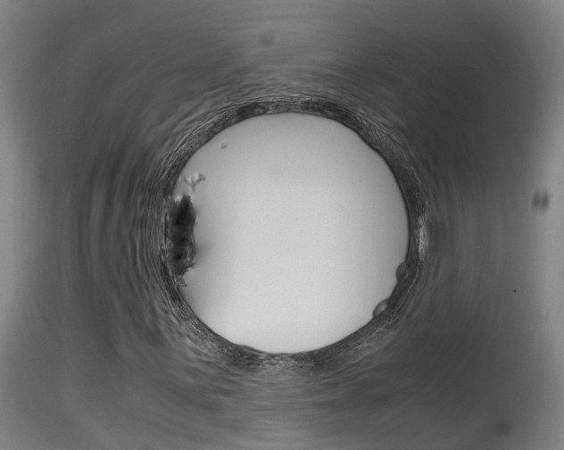 X0000115581059200911100949