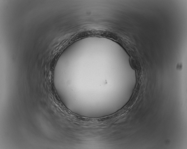 X0000115581061200911100949