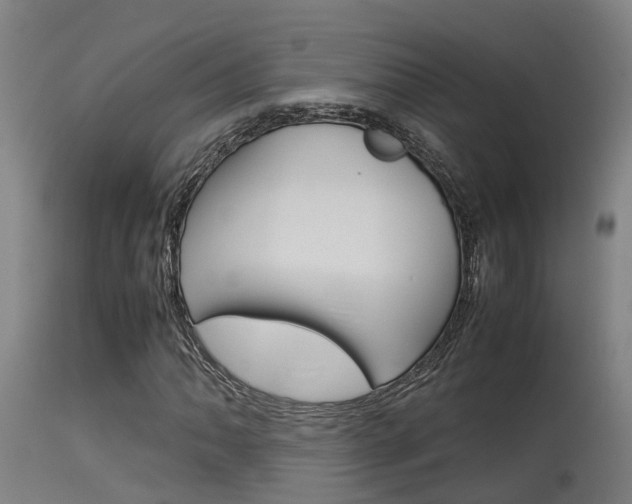 X0000115581062200911100949