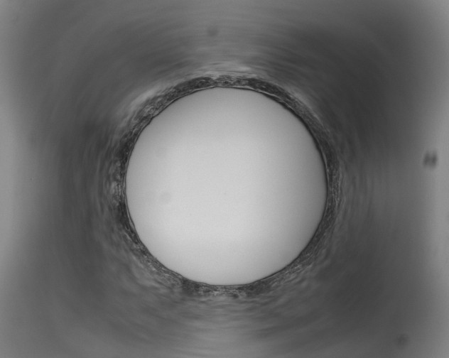 X0000115581063200911100948