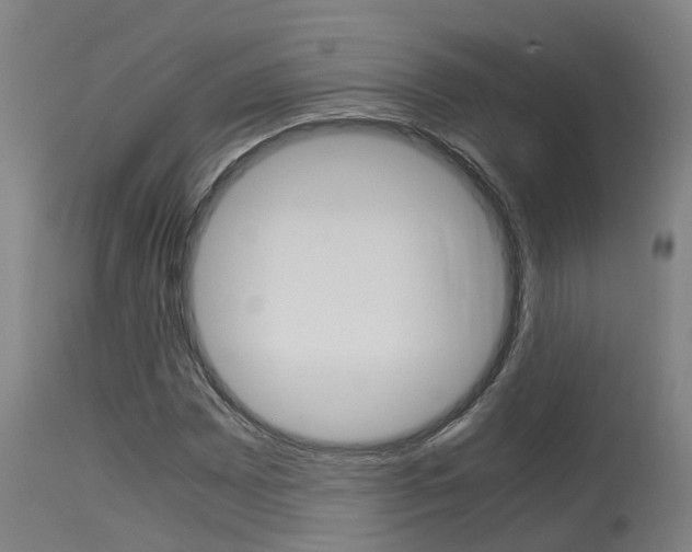 X0000115581065200911100948