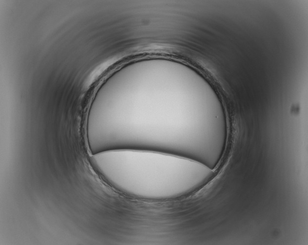 X0000115581066200911100948
