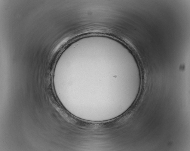 X0000115581067200911100948