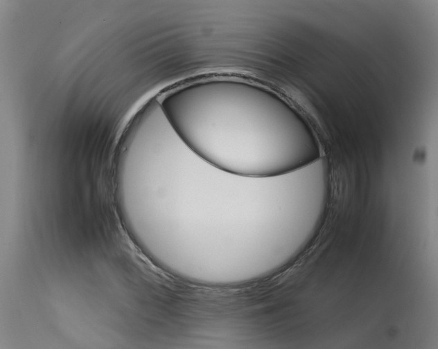 X0000115581068200911100948