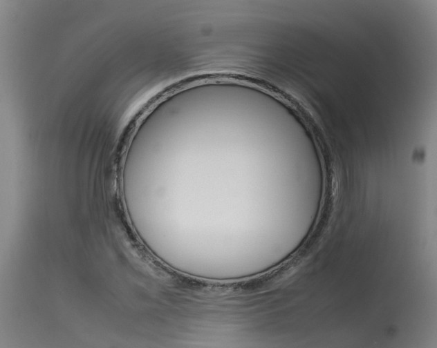X0000115581069200911100948
