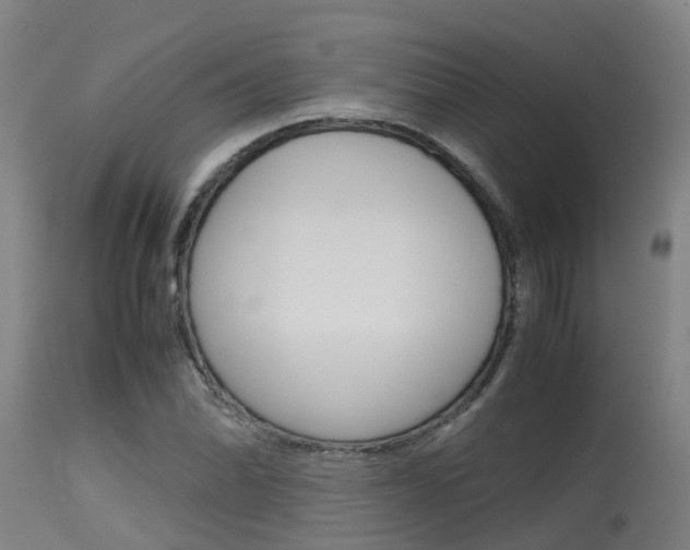 X0000115581070200911100948