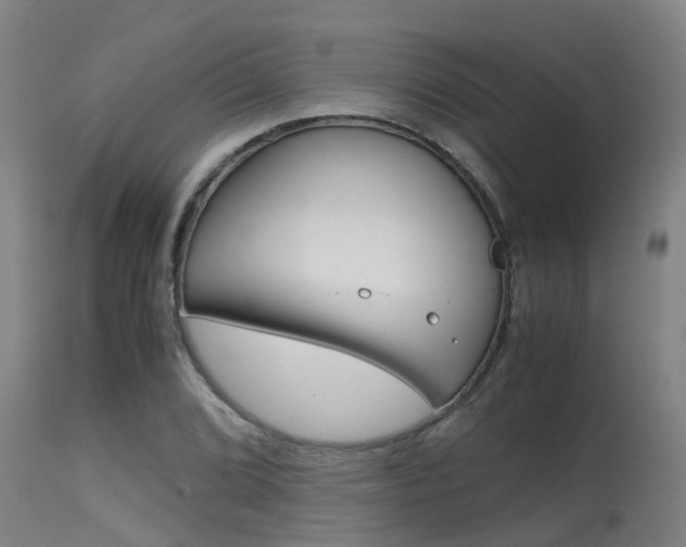X0000115581072200911100948