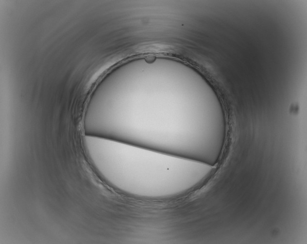 X0000115581073200911100948