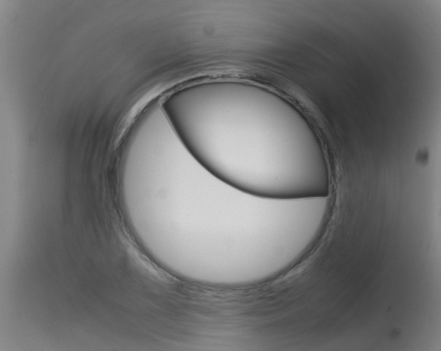 X0000115581075200911100948