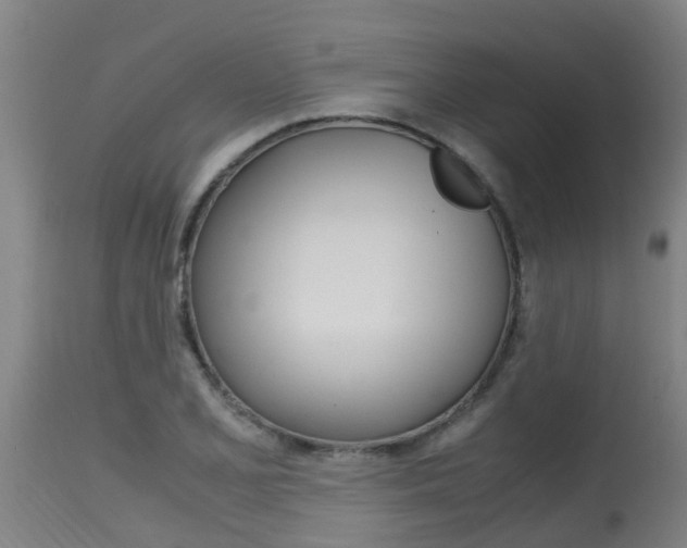 X0000115581077200911100948