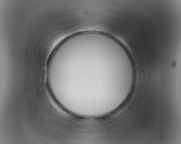 X0000115581079200911100948