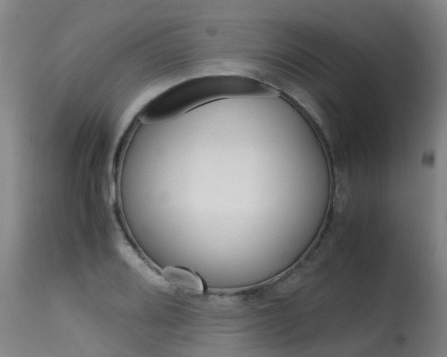 X0000115581080200911100948