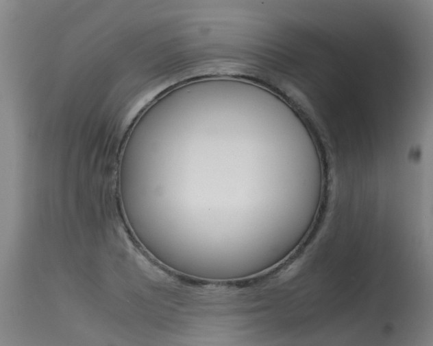 X0000115581081200911100948