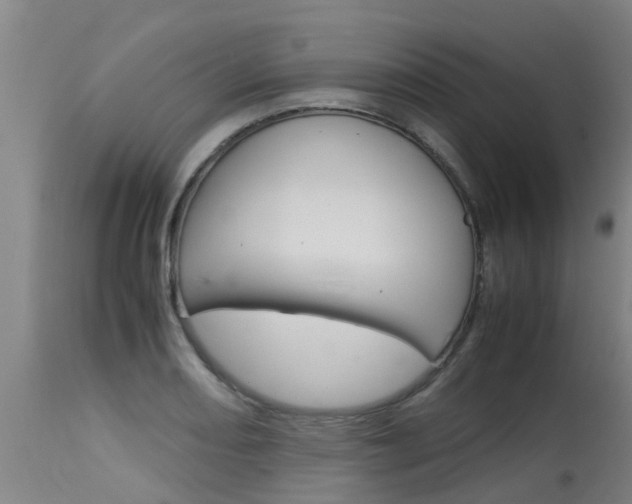 X0000115581082200911100948