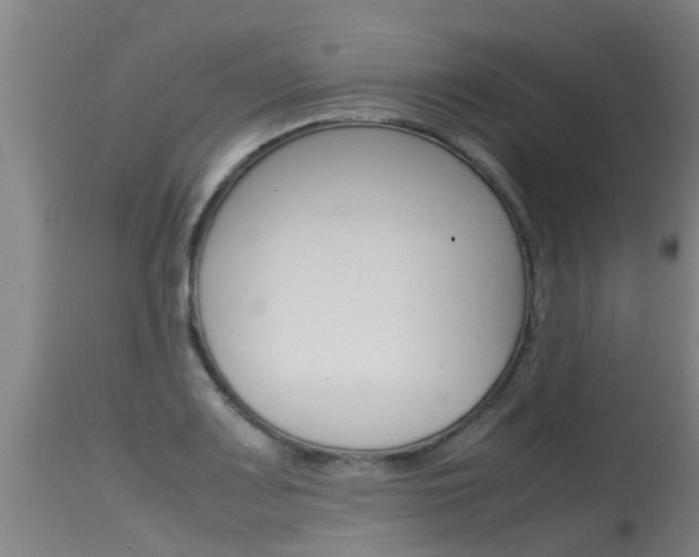 X0000115581083200911100948