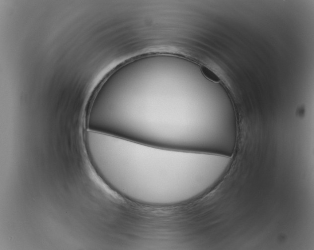 X0000115581084200911100948